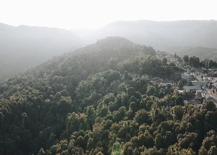 Panorama 3*